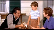 The Trouble with Harry (1955)John Forsythe, Shirley MacLaine and child